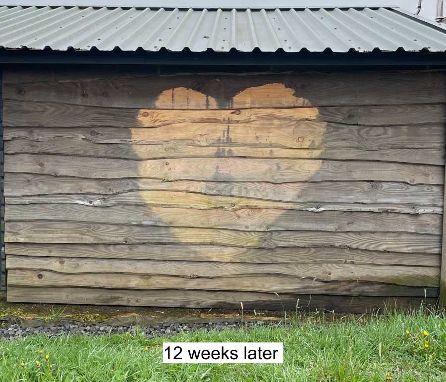 12 weeks after initial (and single) treatment with ECO Wood Treatment
