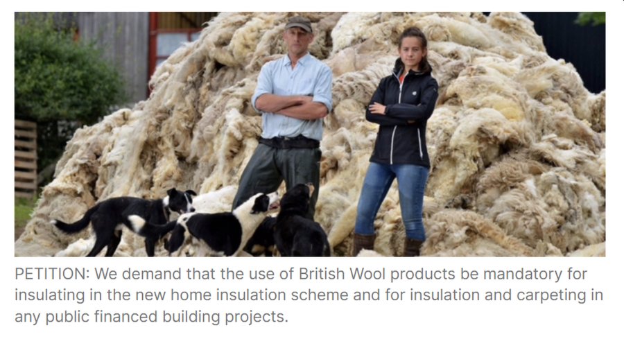 Petition to use British Sheep Wool in insulation in public buildings instead (38degrees.org)