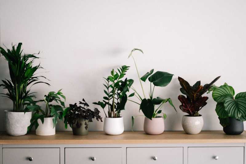Indoor Air Quality Guides
