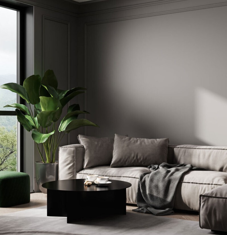 Auro 555 Premium Matt Emulsion for Home and Office