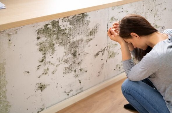 Damp and mould awareness week 2026 photo fro AICO
