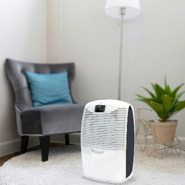 Ebac Dehumidifier