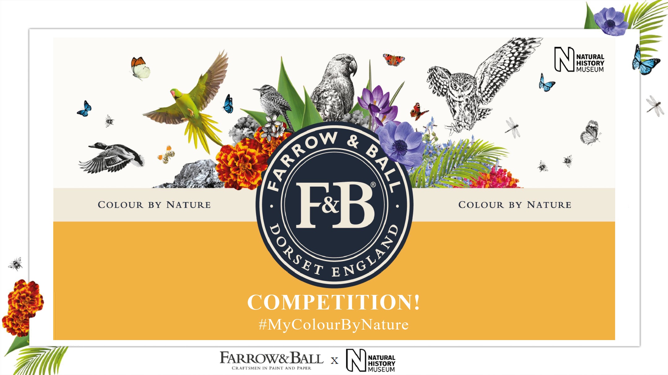 Farrow and Ball Paint Competition