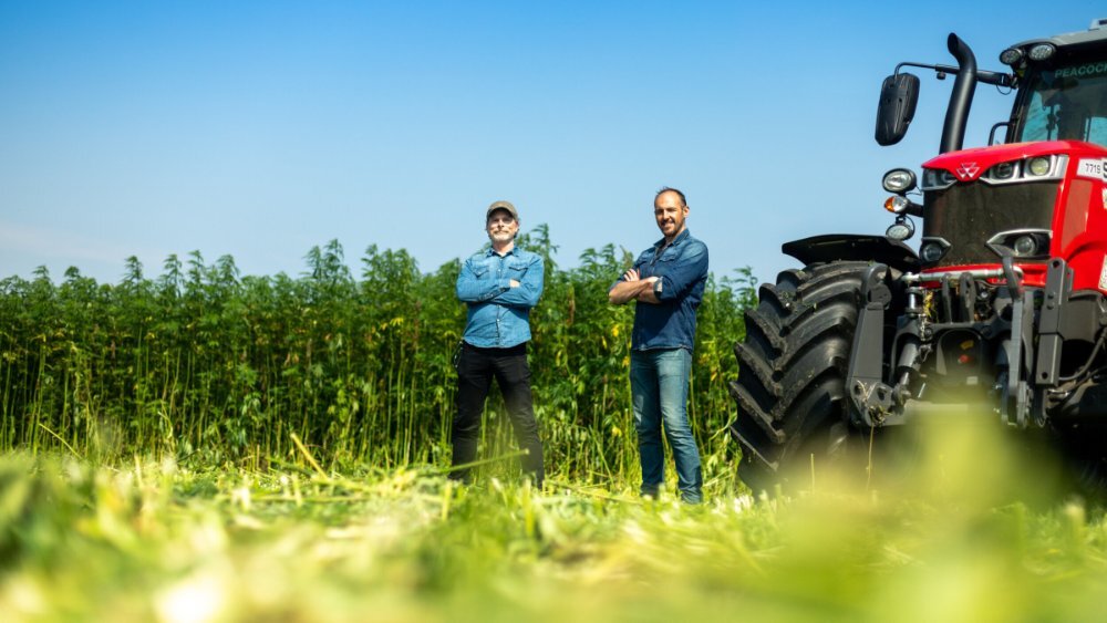 Indinature co-founder Scott Simpson stood in filed of hemp with red tractor parked up Indinature co-founder Scott Simpson stood in filed of hemp with red tractor parked up