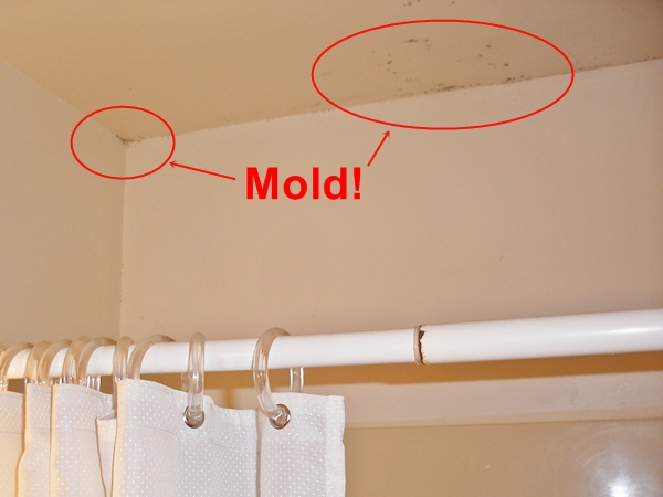 Mould on ceiling over bathroom shower