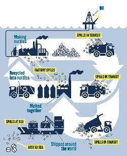 How Nurdles end up in the Ocean and wider environment