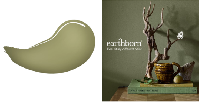 Oliver Twigg Claypaint colour from earthborn