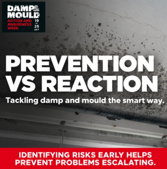 Prevention vs reaction for damp and mould from celtic sustainables