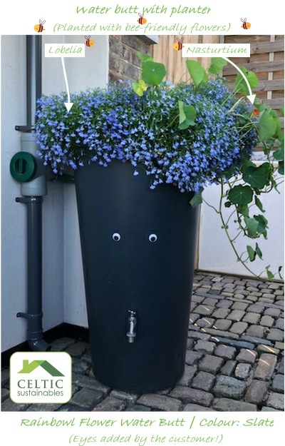 Rainbowl Flower Water Butt planted with bee-friendly flowers
