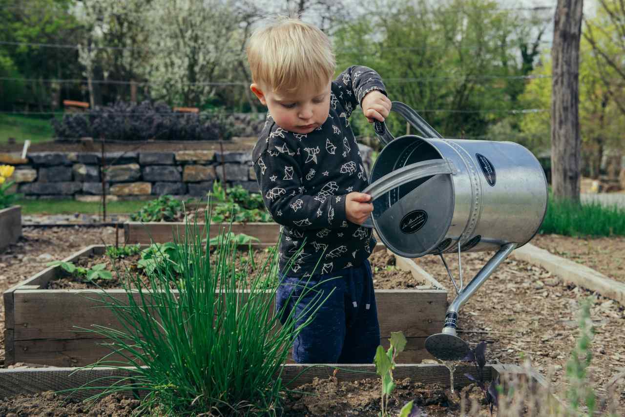 Child watering a vegetable raised bed with a watering can
