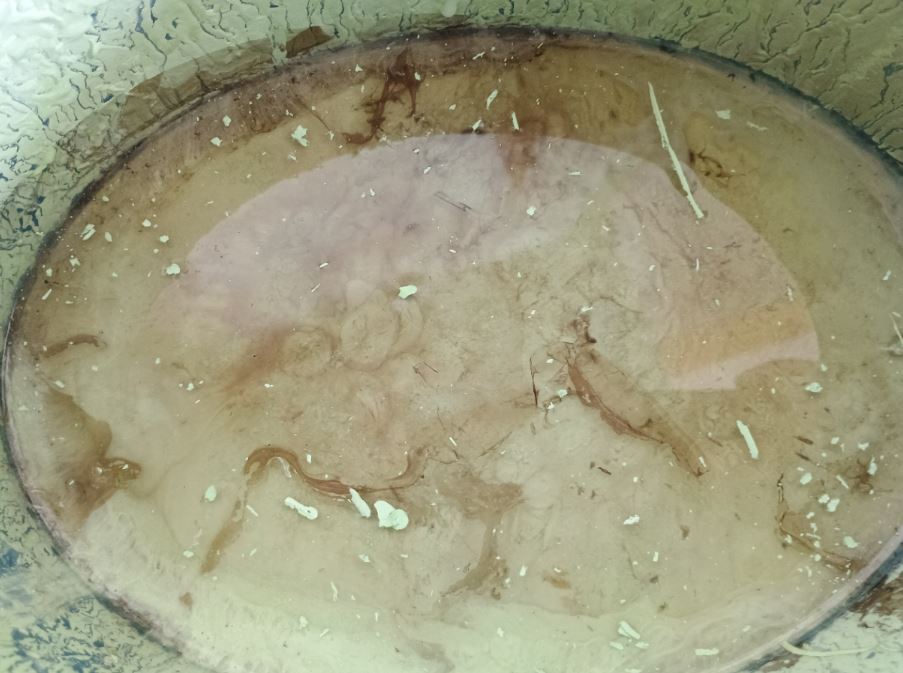 Emulsion paint that has been stored badly