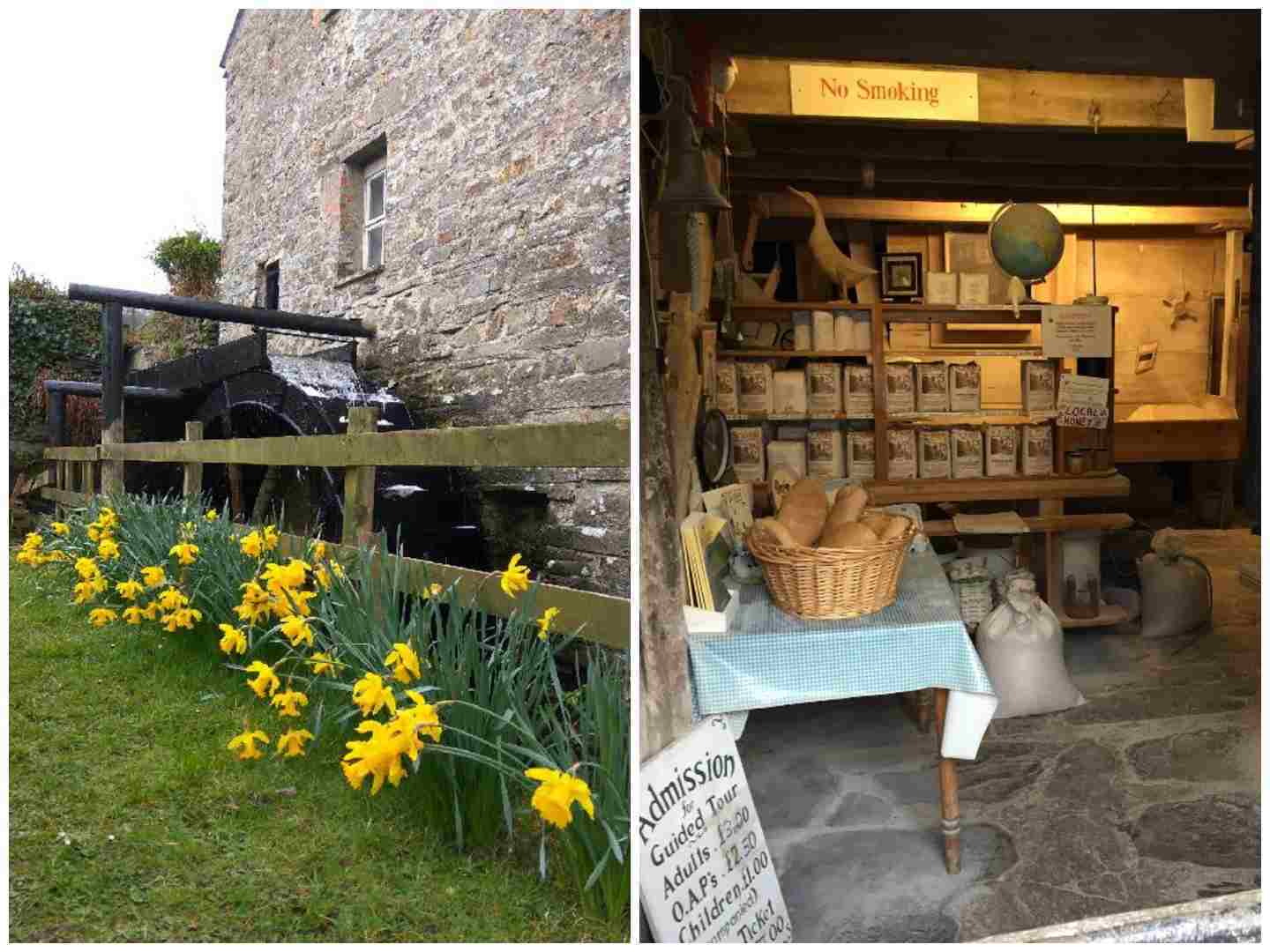 The Mill St Dogmaels Traditional Lime Poinitng