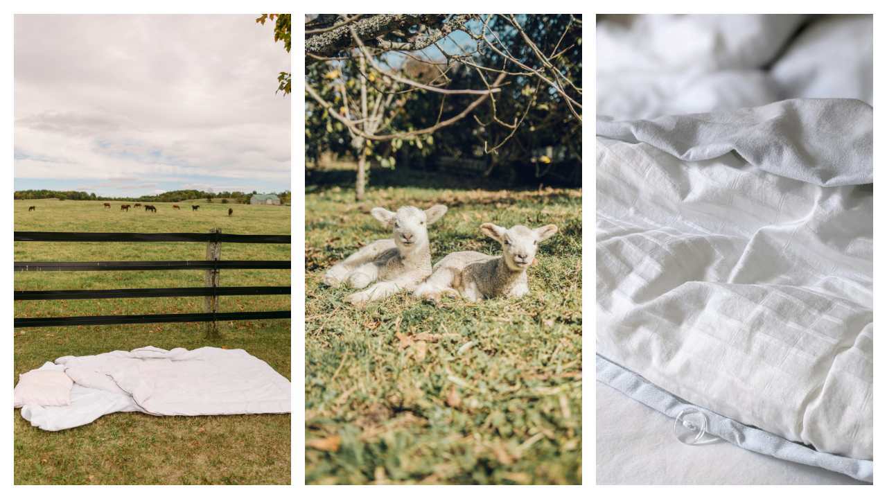 Baavet Wool Bedding In the garden, lambs and bedroom decor
